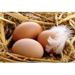 Яйца куриные (деревенские)